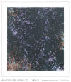 Matis Reinhardt @ Galerie ART FORUM UTE BARTH Z�rich - Kunstwerk